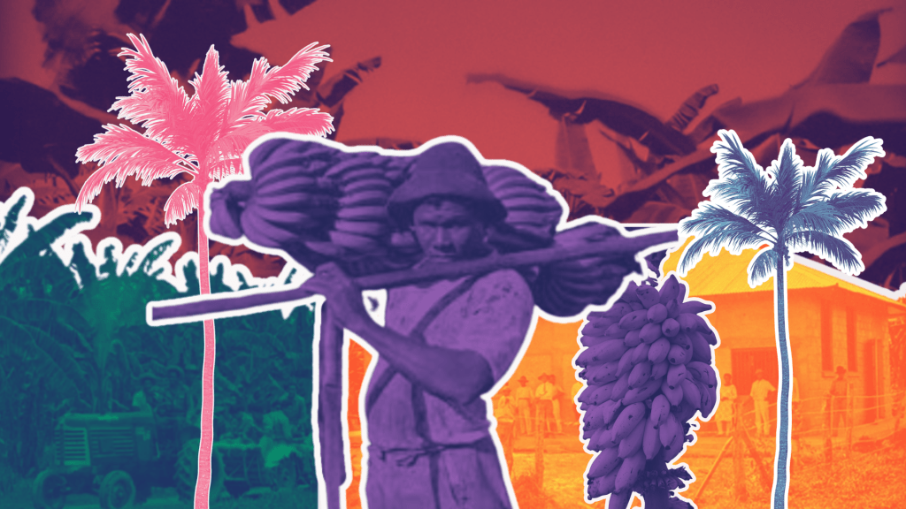 La Huelga de las&nbsp;Bananeras